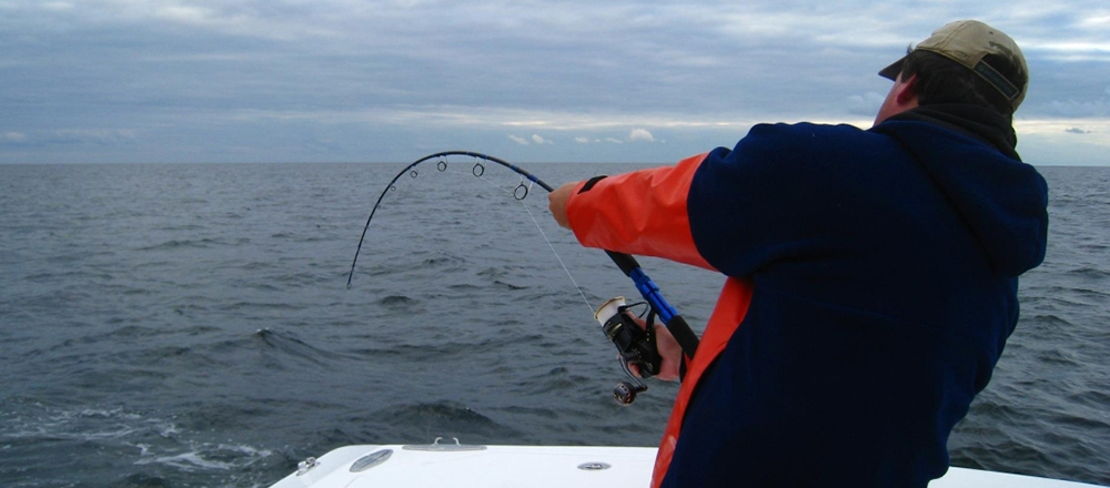 CTS SD Jig CTS SD Jig