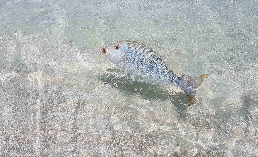 CTS Fishing in Exmouth