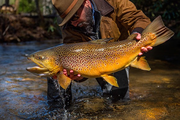 Will Taylor | CTS Ambassador