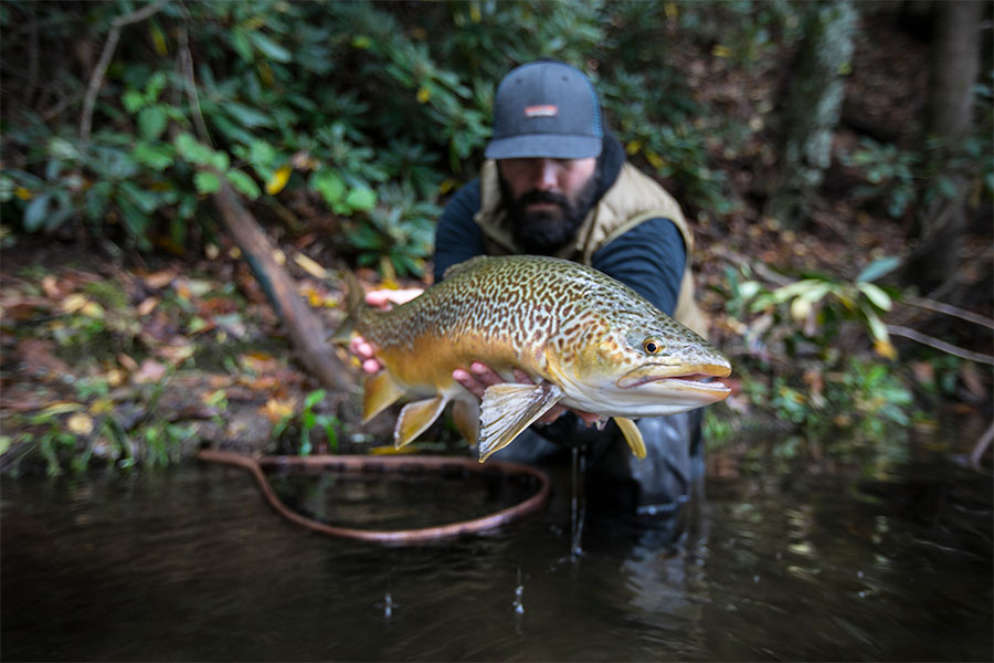 Will Taylor | CTS Ambassador