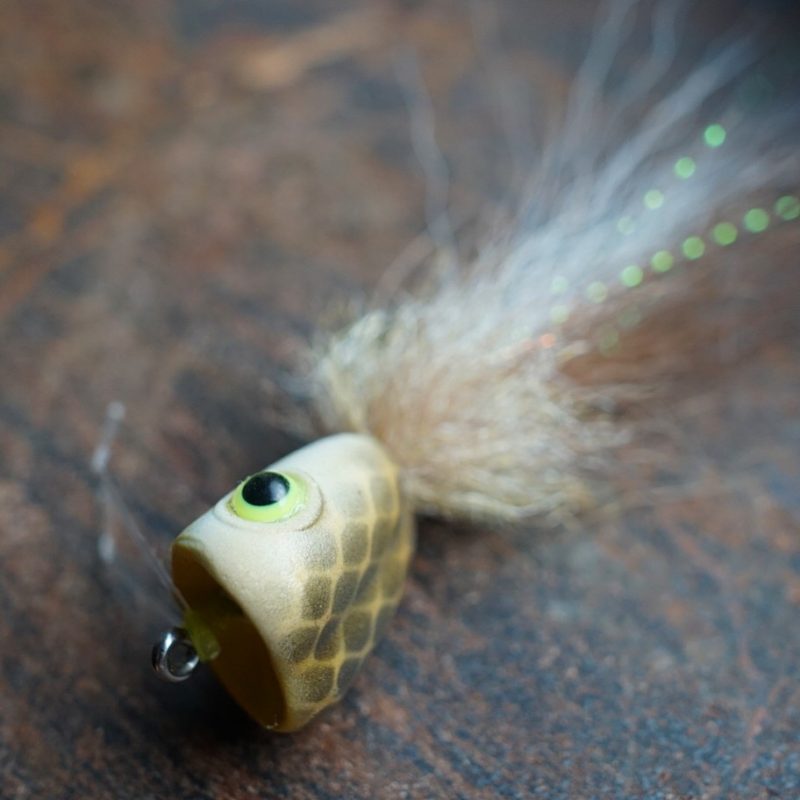 Drew Chicone popper fly
