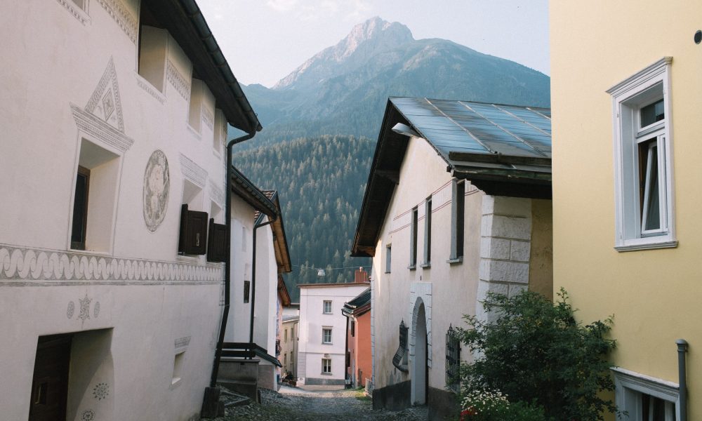 Swiss custom fly rod