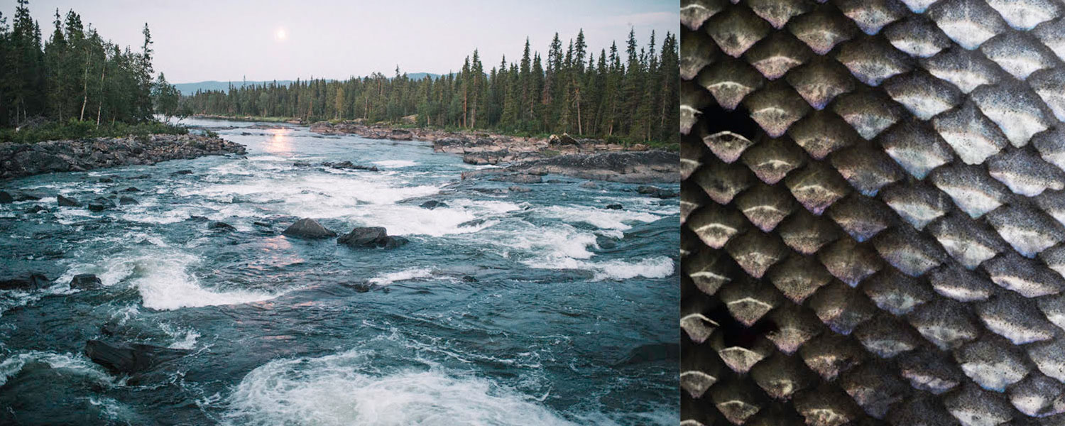 CTS | Environmental Responsibility