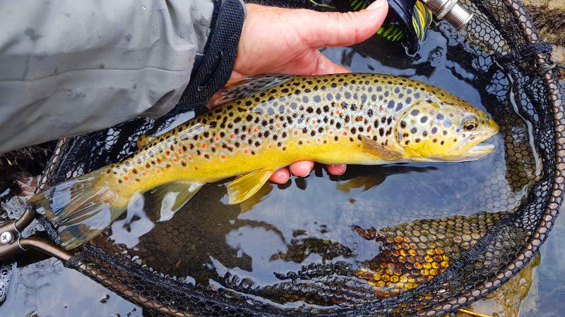 Indian Summer at Salza River