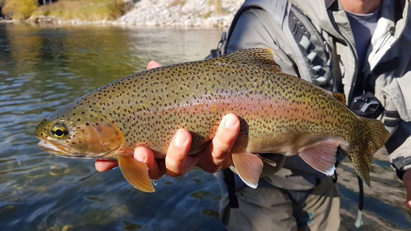 Indian Summer at Salza River Indian Summer at Salza River