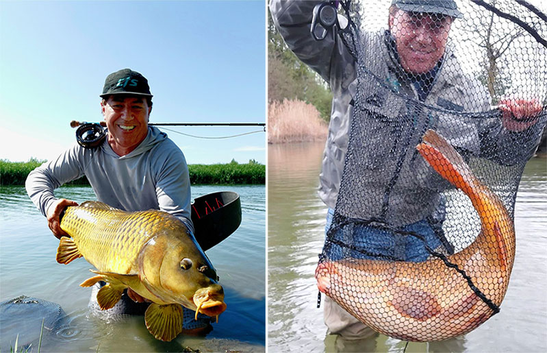 Stalking Carp | The Permit of the Lake