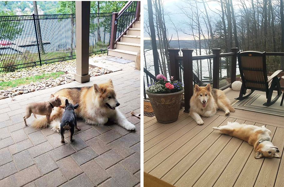 Living the Dream on Deep Creek Lake: Mark Crouse